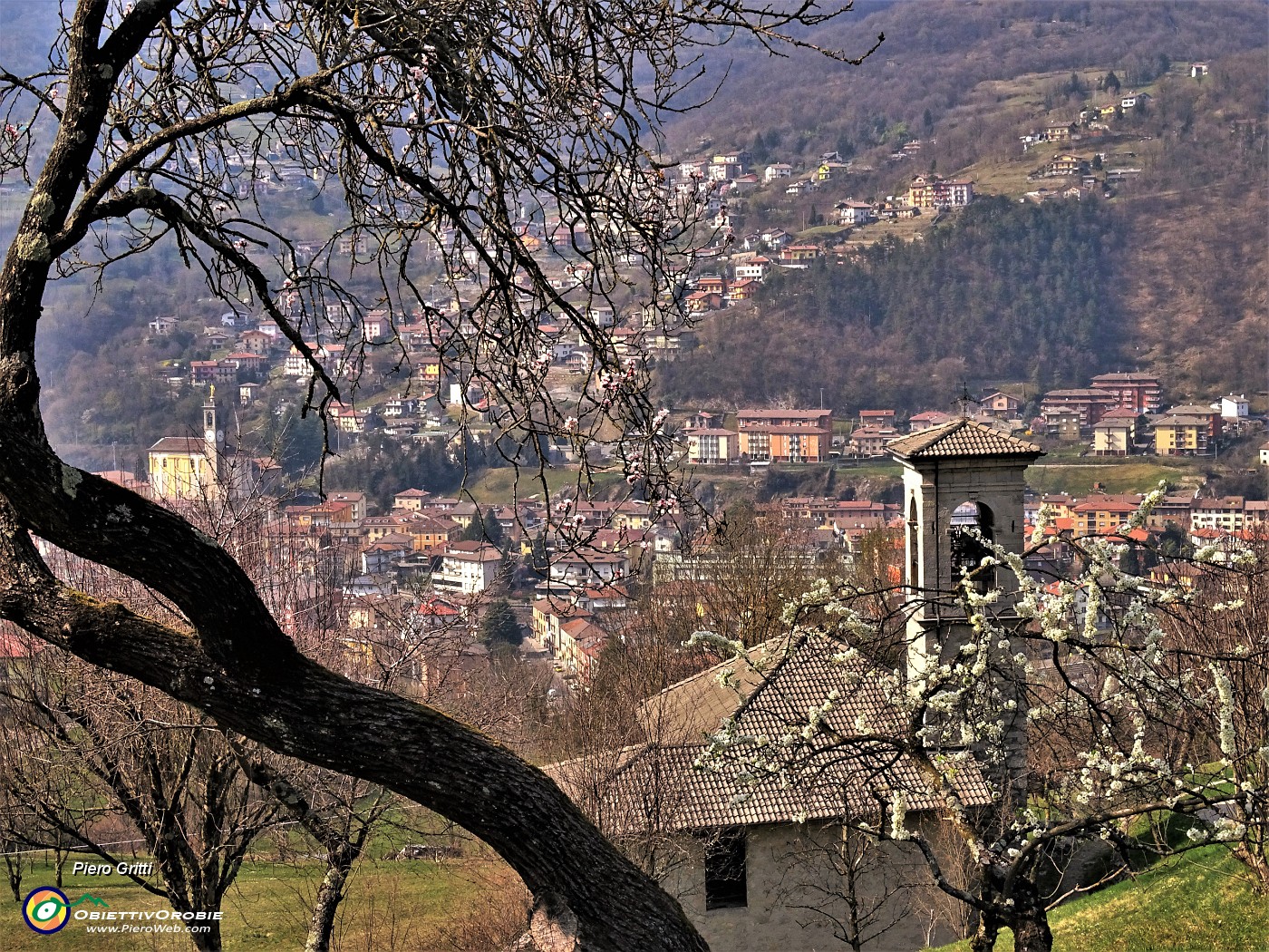 04 Da ciliegi in fiore Chiesetta di S. Antonio a dx e Chiesa di S. Lorenzo di Zogno a sx.JPG -                                